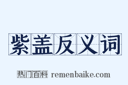 紫盖反义词是什么意思的图片